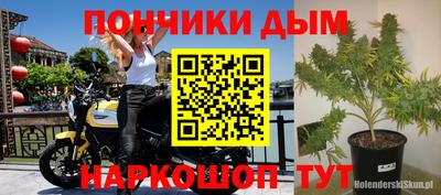 крисы Бузулук