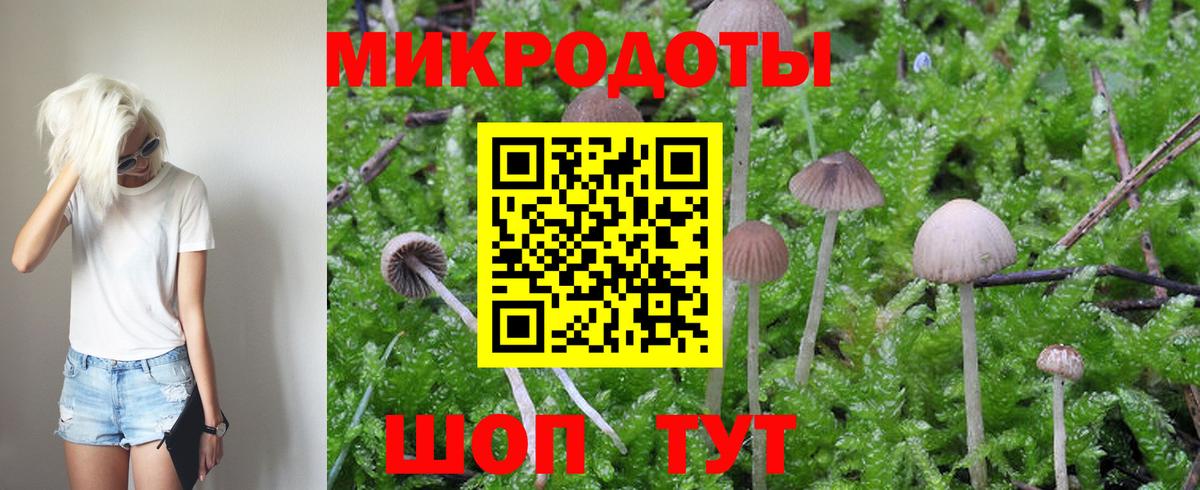Псилоцибиновые грибы Psilocybe  Галлюциногенные грибы Psilocybe  Копейск  Вход с VPN 